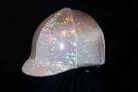 silverhelmetcover.jpg